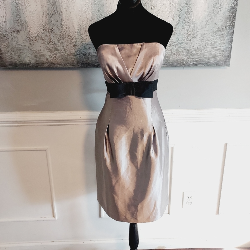 Scott McClintock Strapless Bow Satin Dress Sz-10